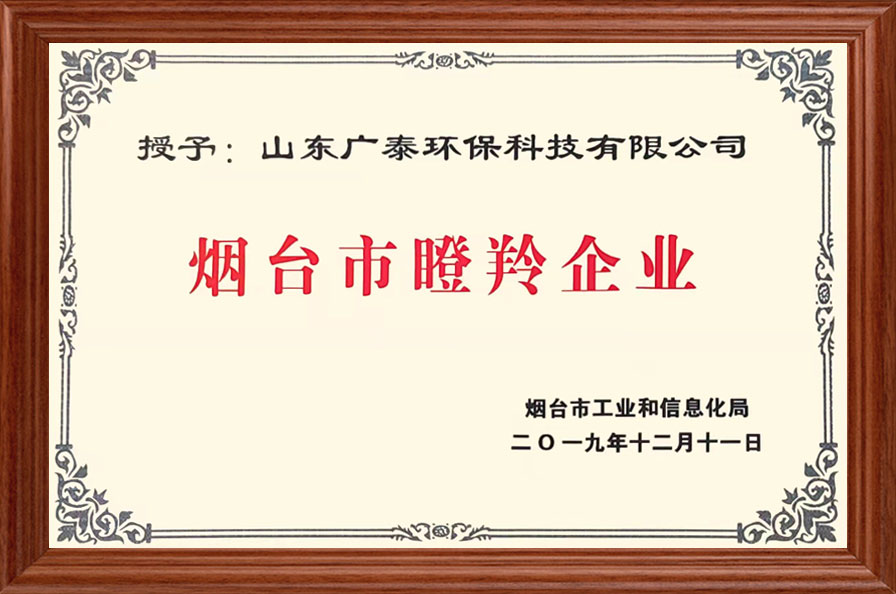 煙臺(tái)市瞪羚企業(yè)